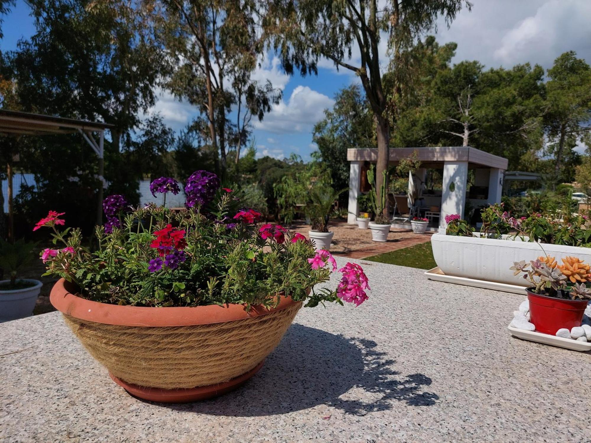 Domoemare Hotell Siniscola Exteriör bild